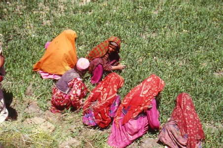 femmes nomades aux couleurs magnifiques