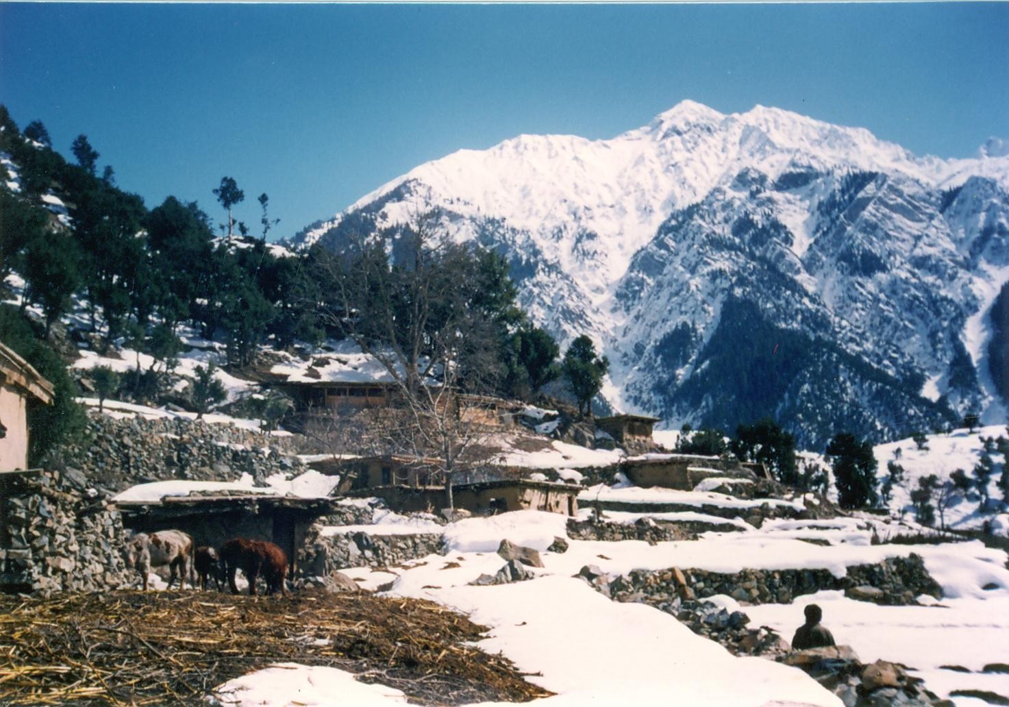 valley kalash