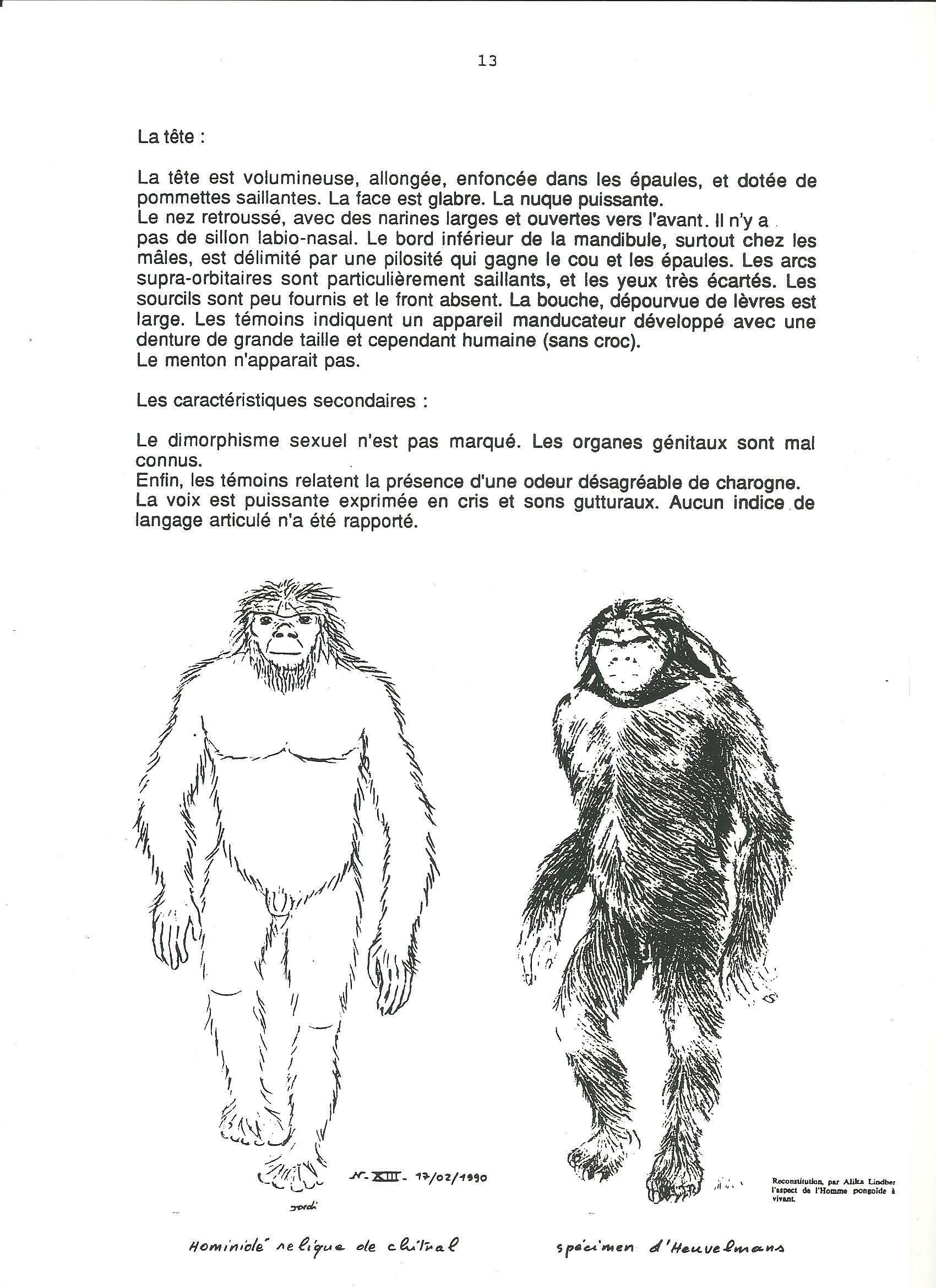 association Troglodytes